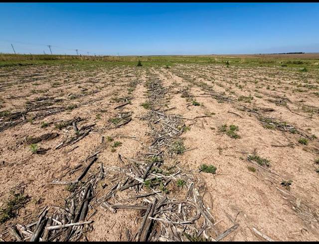 FARM FOR SALE IN TWEELING